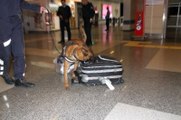 Atatürk Havalimanı'nda Güvenlik Önlemleri Üst Düzeye Çıkarıldı