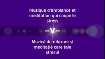 Musique d’ambiance et meditation qui coupe le stress - Muzică de relaxare și meditație care taie stresul ( Partea a V-a )
