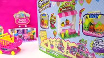 Shopkins Kinstructions Fruit & Veg Playset with Disney Frozen Queen Elsa Video Cookieswirlc