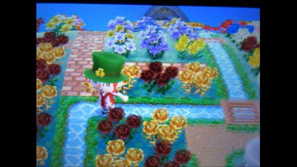 とび森　オン島でけんか祭りを開催ｗ