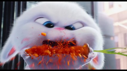 The Secret Life of Pets : meet Psycho Bunny !