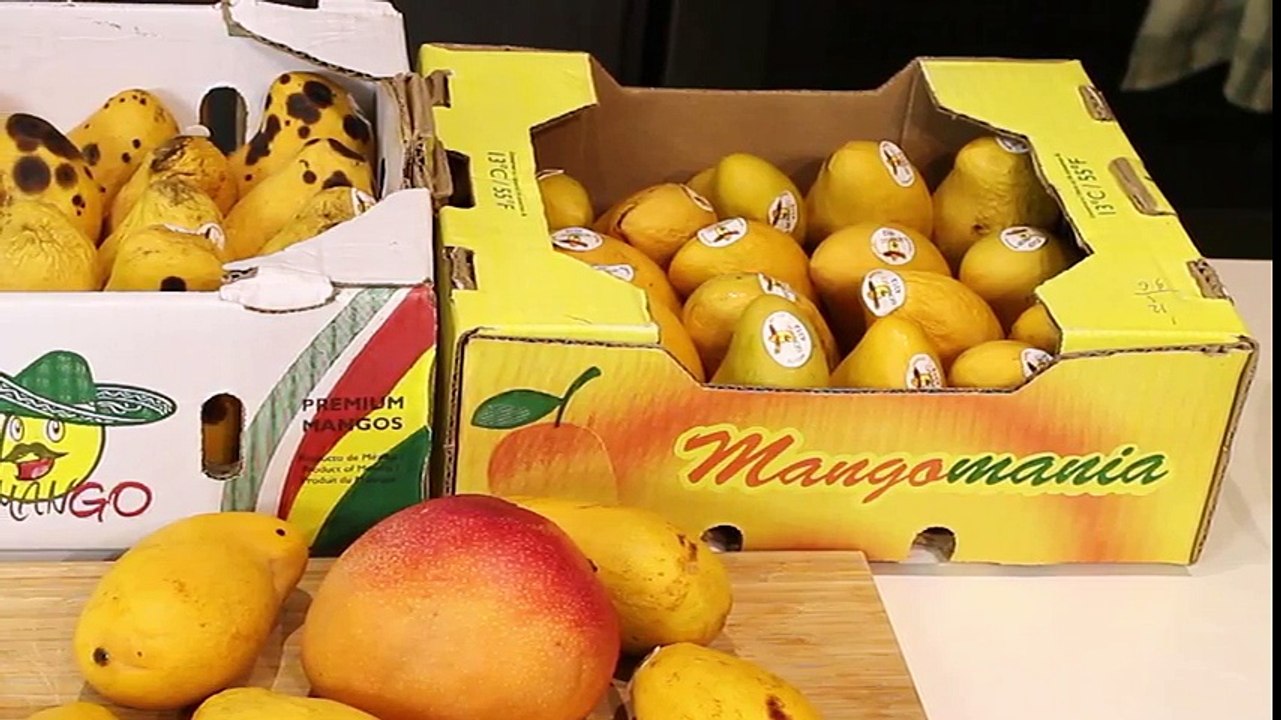 Easy Digestion! Mango Mono Meal