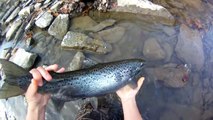 Lure Fishing #144 Small Stream Fishing for a 6lb Atlantic Salmon