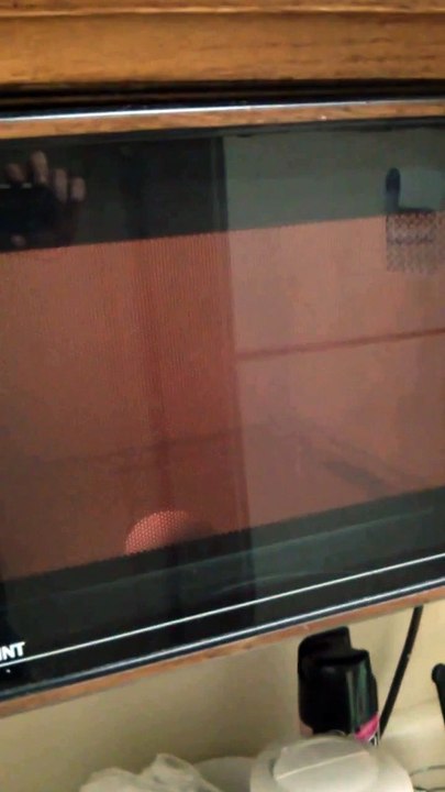 Ils font exploser un oeuf au micro-ondes ! Raté...