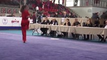 Okullararası Türkiye Wushu Şampiyonası Başladı