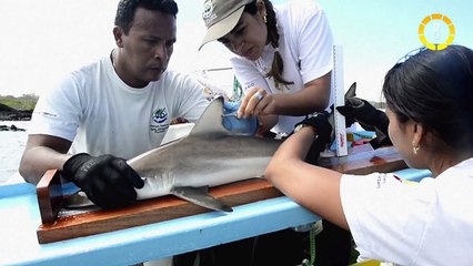 In 60 Seconds: Castro Receives Obama for Historic Meeting in Cuba