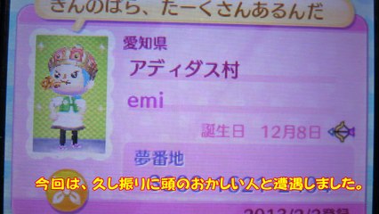 【とび森】　田中恵美もどき（笑）と会って島がえらいことになった件