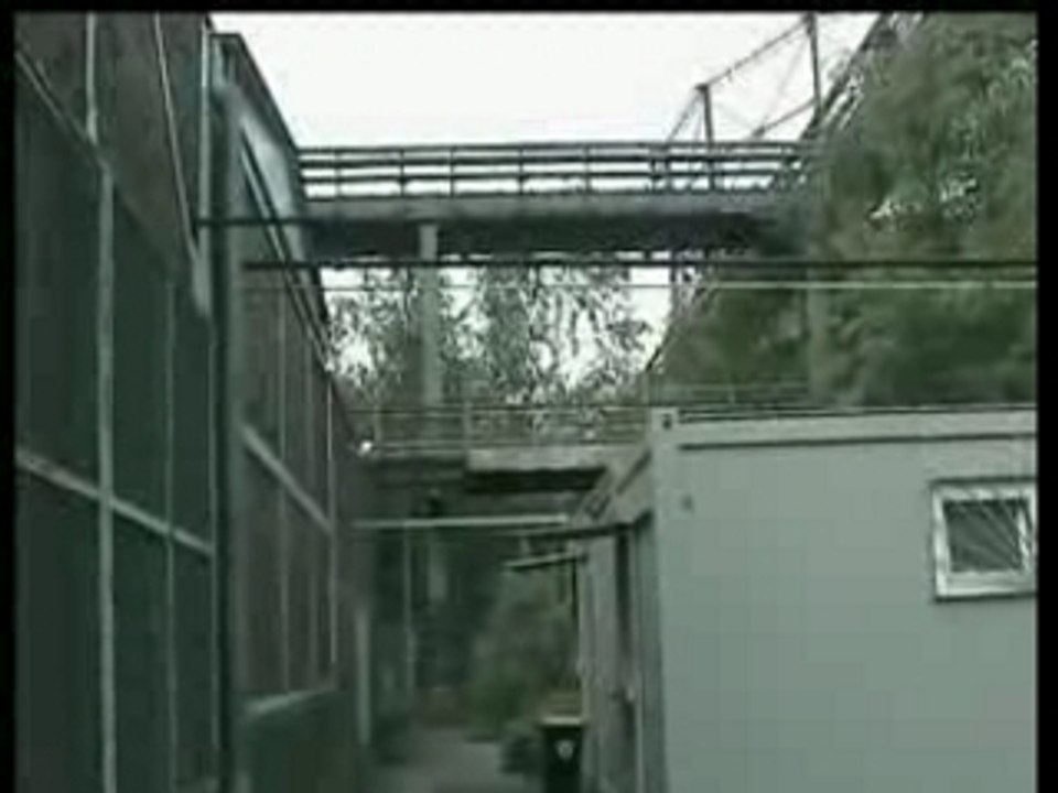 Container jump