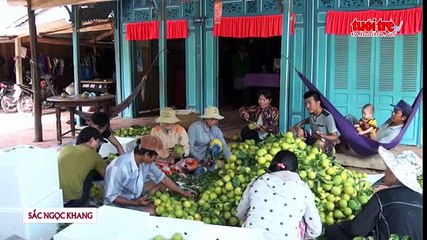 Tin nóng 24h ngày 17-3-2016- Giải quyết bài toán lấn chiếm vỉa hè không thể trong một sớm một chiều