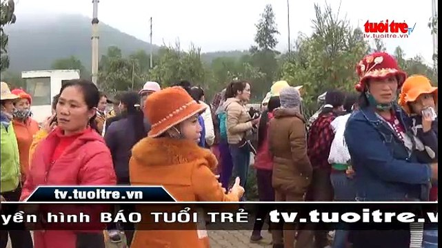 Hơn 200 công nhân công ty gỗ đình công quay trở lại làm việc