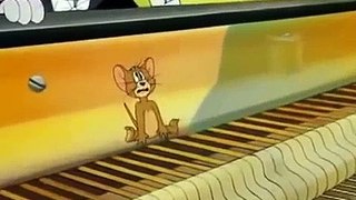 Tom And Jerry - In Concert Parte 2  Tom And Jerry Cartoons