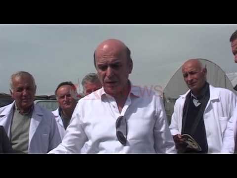 Sëmundja e Fuseriozës po shkatërron serat e fermerëve në Lushnje- Ora News- Lajmi i fundit-