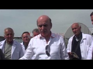 Sëmundja e Fuseriozës po shkatërron serat e fermerëve në Lushnje- Ora News- Lajmi i fundit-