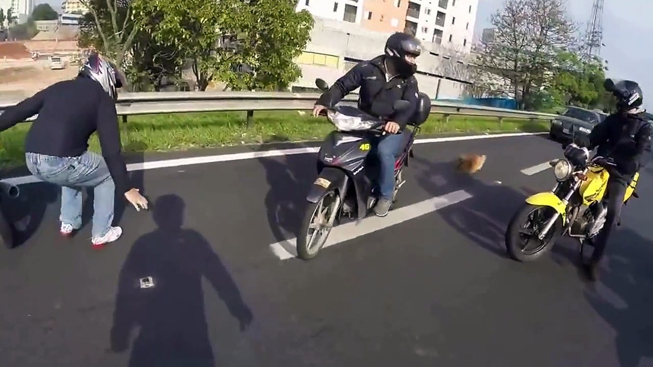 5 motards bloquent l'autoroute et se tournent la tête. Quand vous verrez ce qu'ils regardent, vous les applaudirez!