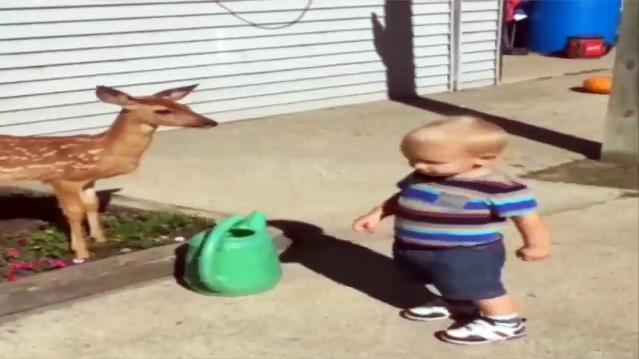 The child and a favorite baby ROE