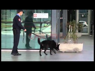 Rreziku nga terrorizmi, forca të shtuara policie në aeroportin "Nënë Tereza"- Ora News