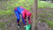 Spiderman Vs Duck Vs Hulk Vs Joker Vs Venom! - Fun Superhero Movie In Real Life