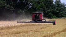 Case IH 9230 Axial-Flow Combine On Tracks