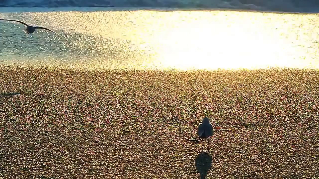 SURFERS ARE AWESOME