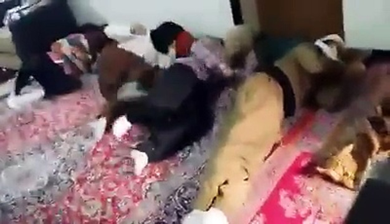 How To Sleep Comedy Videos