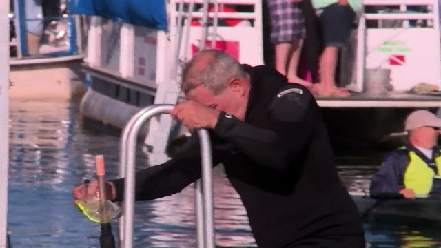 Number of manatees in Florida waters reaches new peak