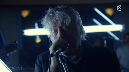 Alcaline, le Mag : Arno - Dance like a goose