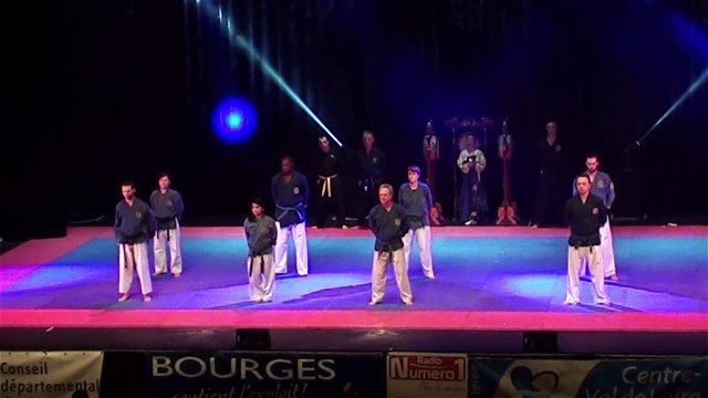 Nuit des Arts Martiaux Bourges 2016