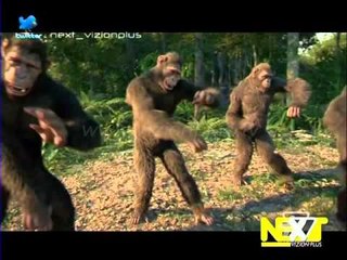 Next - 22 Mars 2016 | Pj.3 - Show - Vizion Plus