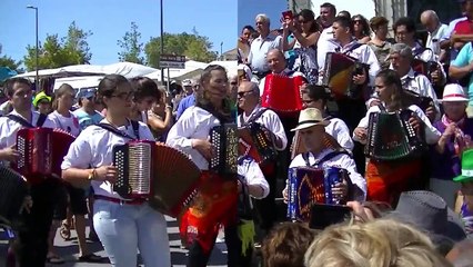 Festival de concertinas