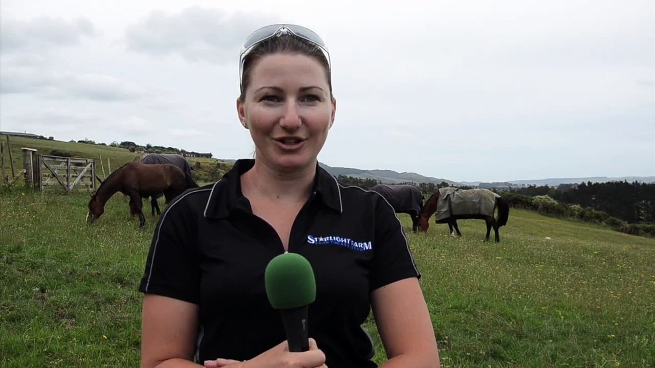 Jobs et Stages à l'étranger | Témoignage Milu | Nouvelle Zélande