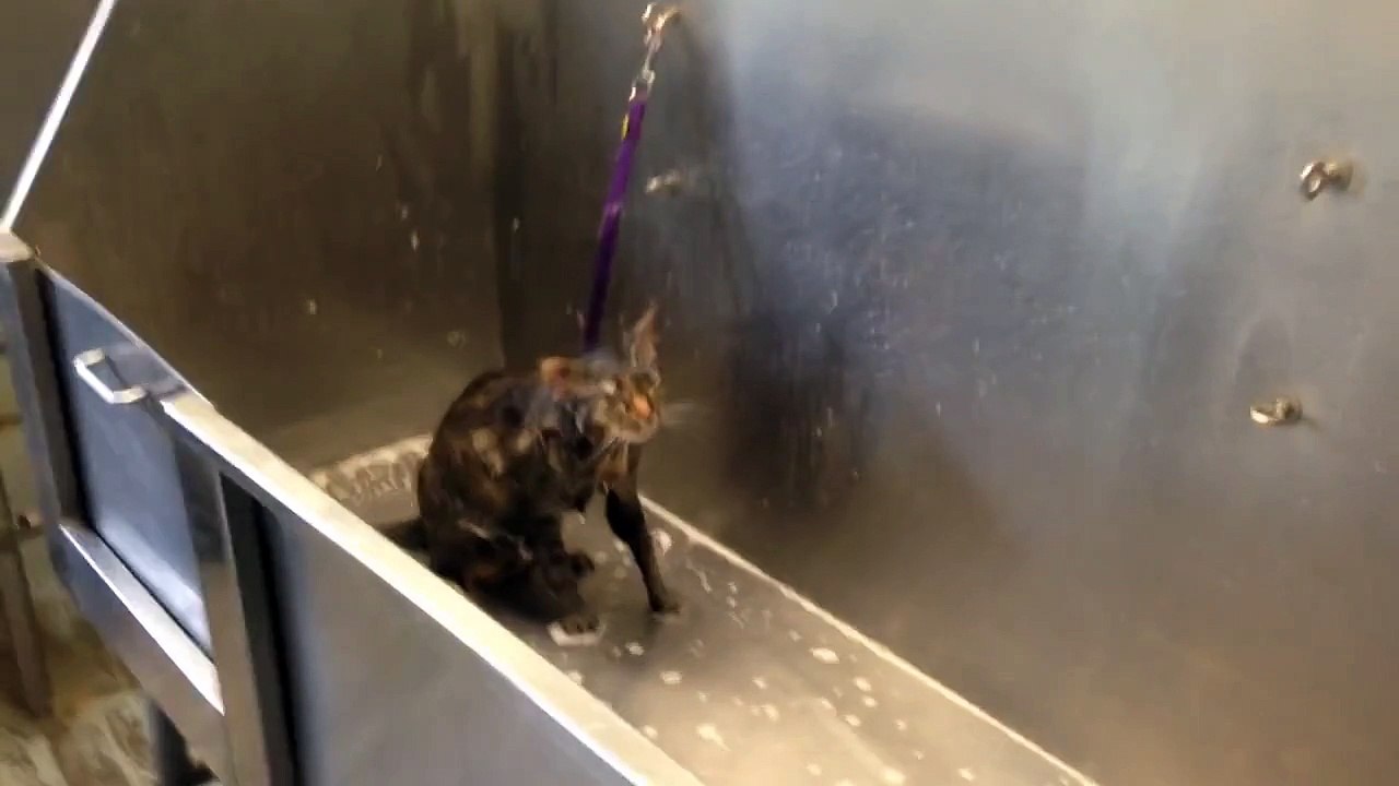 No more bath please