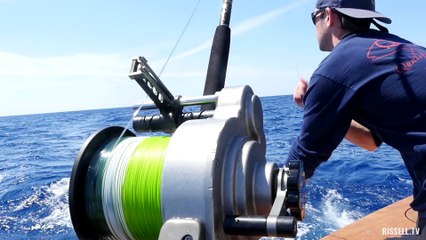 Daytime Swordfishing off Fort Lauderdale