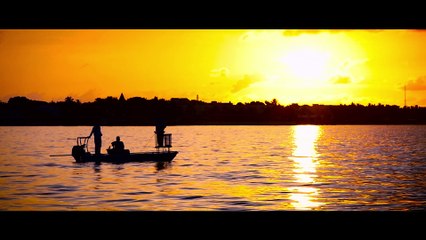 Tarpon: The Perfect Fish