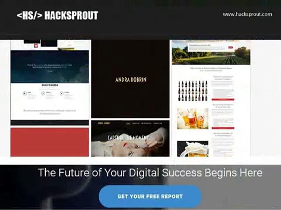 Hacksprout - Chicago website design and development