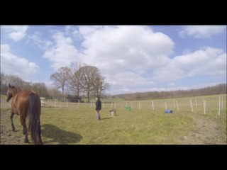 2016.03.22.rond.longe.dipti.zd