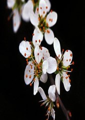 토토홀짝 ◘／SUPERCAR123.COM 가입코드:6623／◘／해외픽스매치BET365가상축구