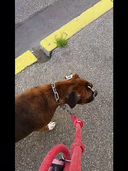 walking in the street