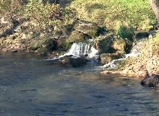 Svetski dan voda - 22. mart, 22. mart 2016. (RTV Bor)