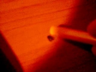 La symphonie des cafards écrasés en Ré Mineur