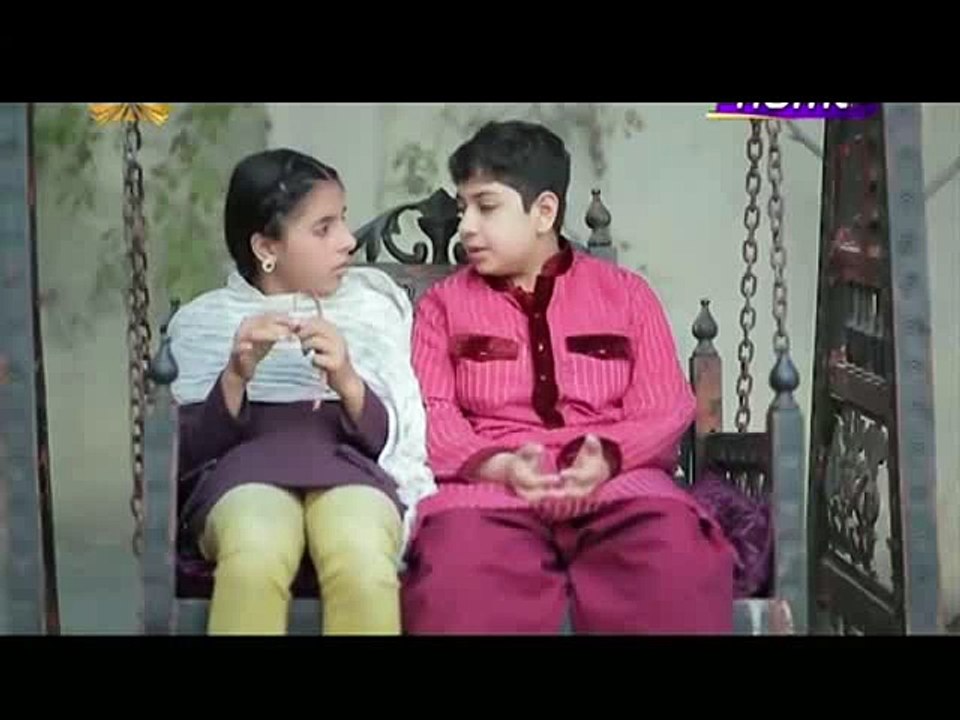 Zara Si Ghalat Fehmi Episode 24 on Ptv Home