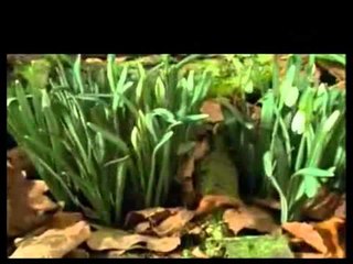 نور كرمك يا رب Nour Karmk ya rab