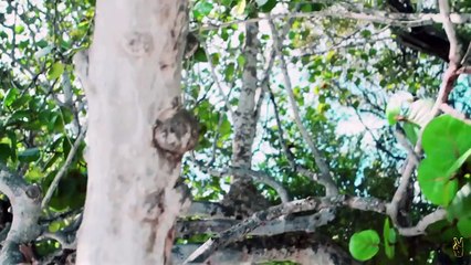 Anton Ishutin  Show me (Music video) HD