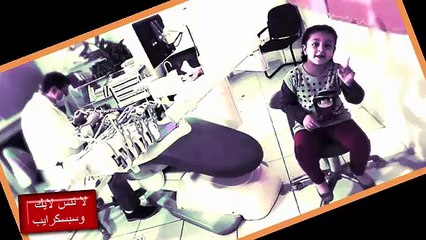 نجوم طيور الجنة ميكس