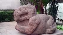 More Olmec Sculptures from Museum of Anthropology Xalapa Veracruz Mexico