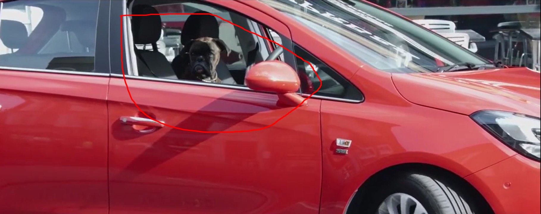 Dog Park Car in London Busy street