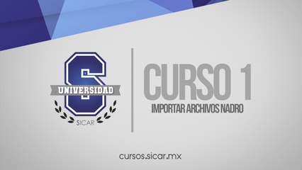 Importar Artículos Desde Archivos NADRO (SICAR Versión 2.1)