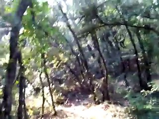 [IRL] Présentation de ma cabane