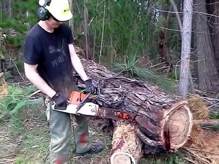 Sawing a Bloodwood Log