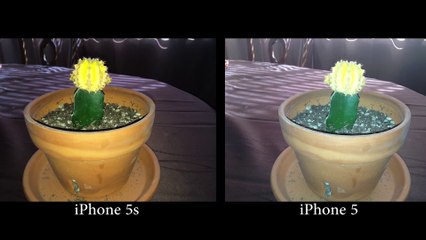 iPhone 5s Review- Should You Buy It-