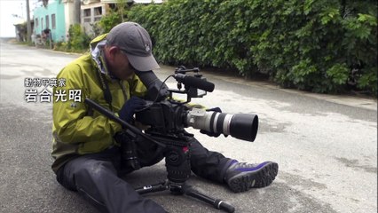 Curiosity never killed the cat...